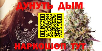 прущие крисы Новодвинск