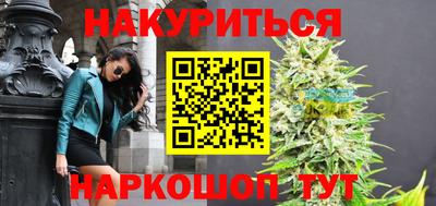 гидропоника Новозыбков