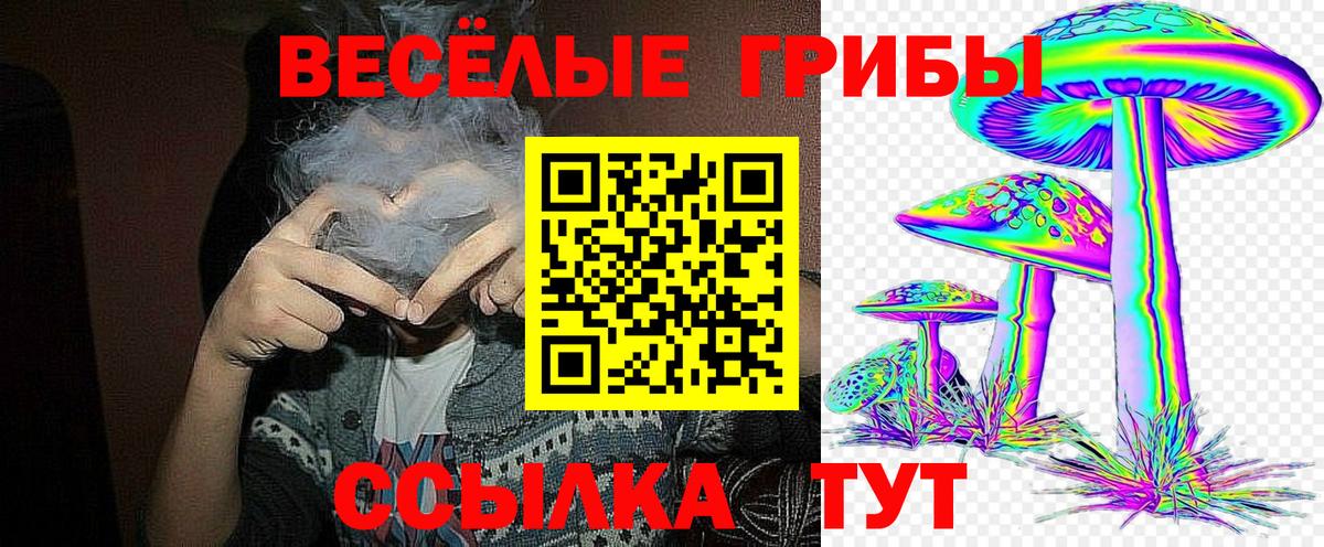 Волгоград  даркнет сайт  Вход с VPN  Галлюциногенные грибы Psilocybine cubensis 