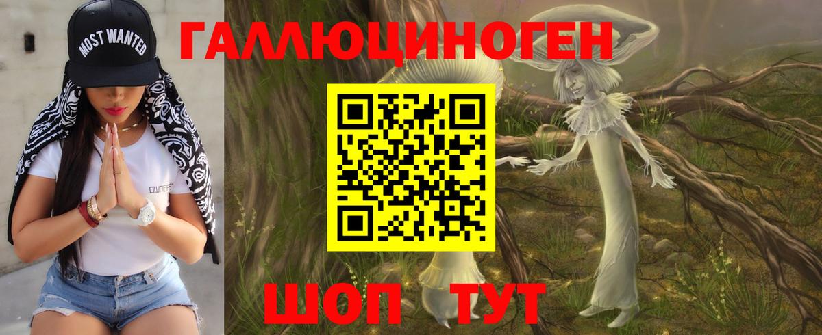 Галлюциногенные грибы Psilocybine cubensis Волгоград